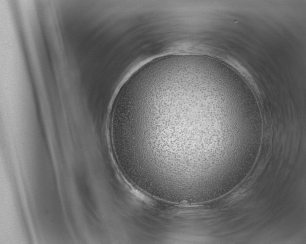 X0000072941486200607282150