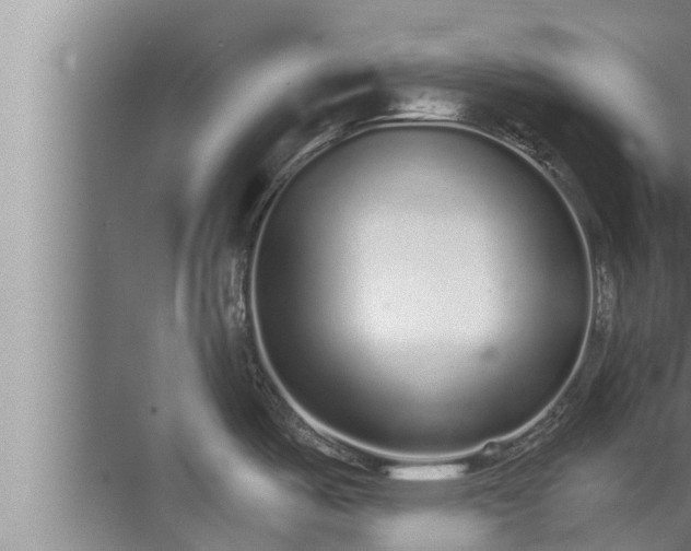 X0000072941487200607282150