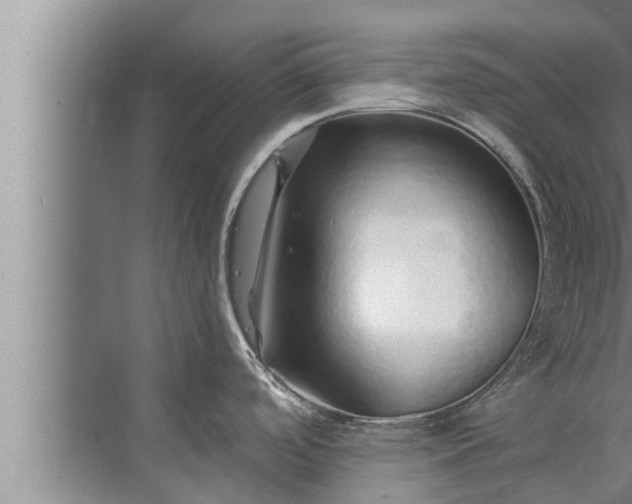 X0000072941488200607282150