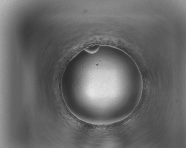 X0000072941489200607282149