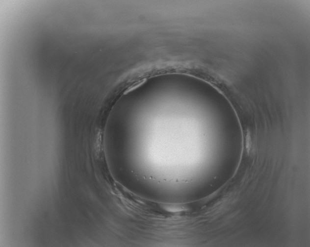 X0000072941492200607282149