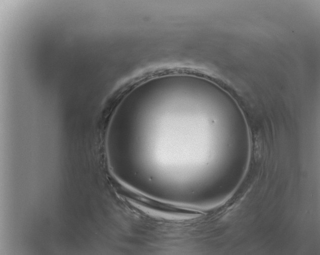 X0000072941494200607282149