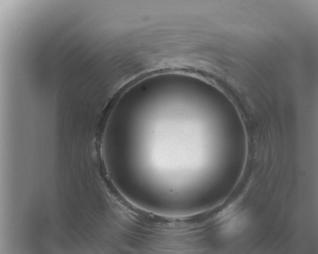 X0000072941497200607282149