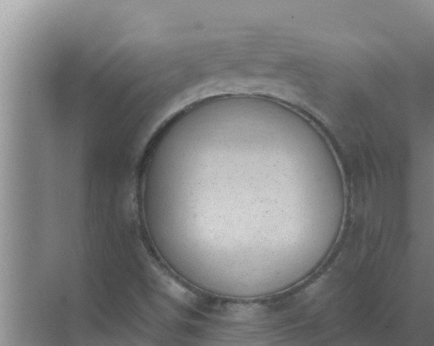 X0000072941498200607282150