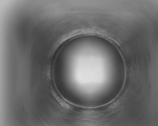 X0000072941499200607282150