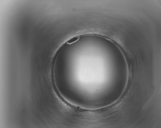 X0000072941500200607282150