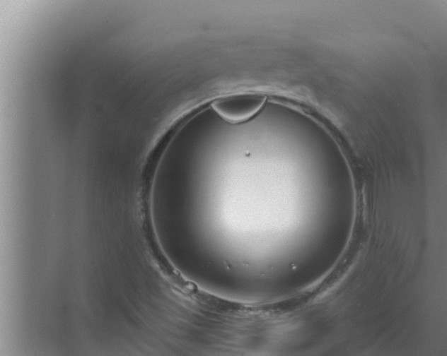 X0000072941501200607282150