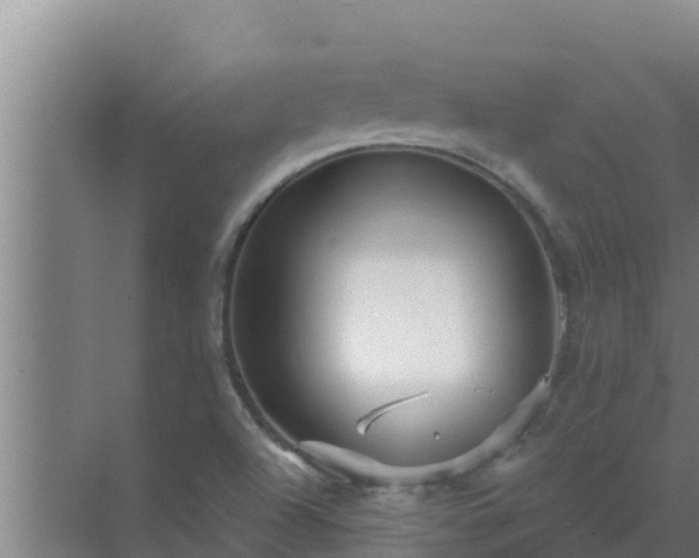 X0000072941504200607282150