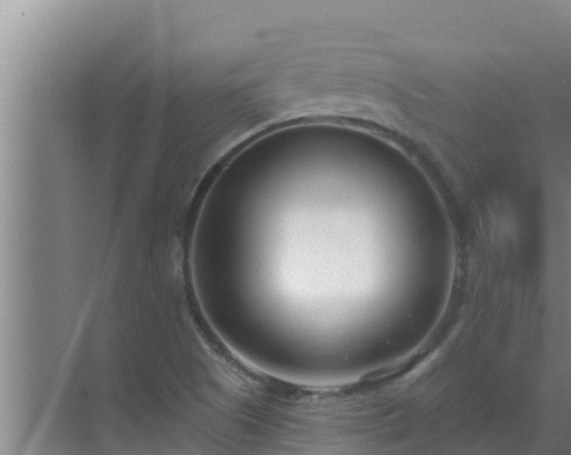 X0000072941505200607282150