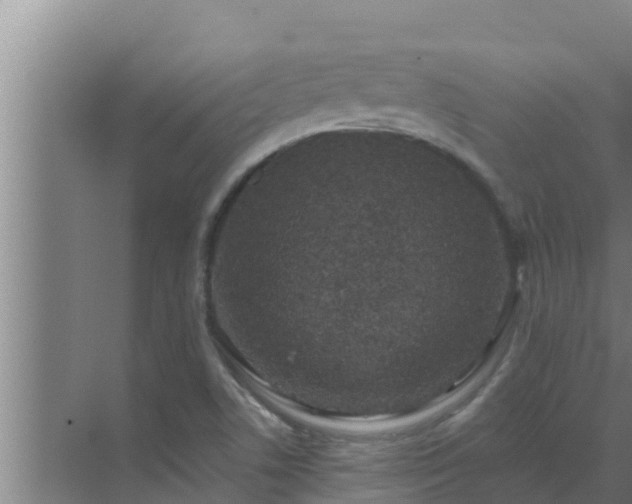 X0000072941506200607282150