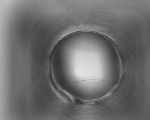 X0000072941507200607282150