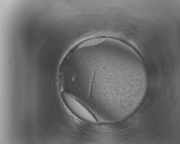 X0000072941508200607282150