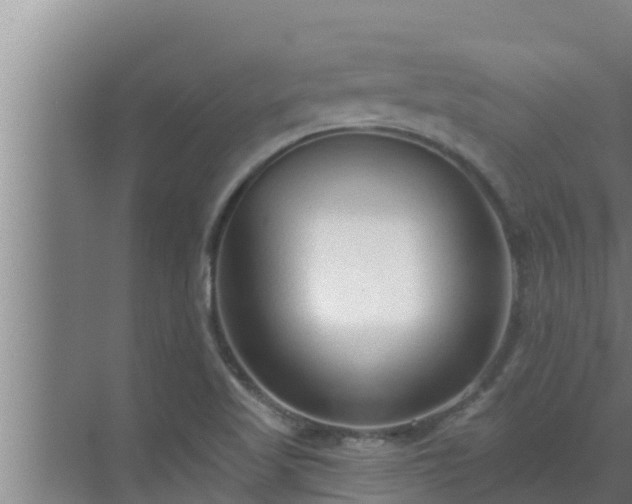 X0000072941509200607282150