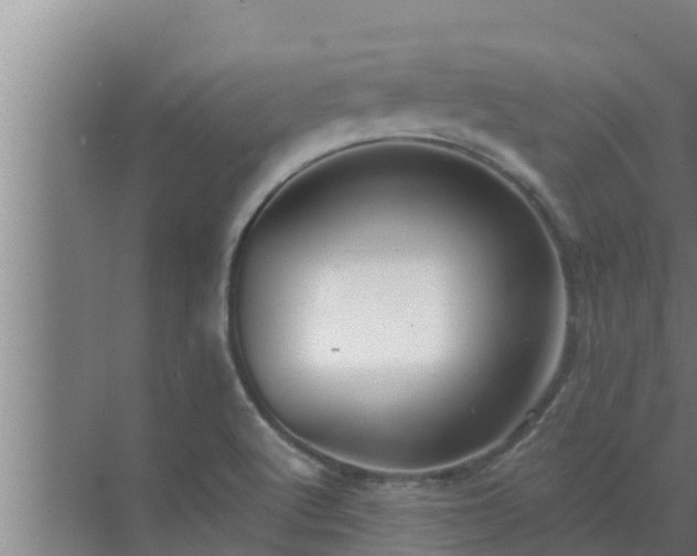 X0000072941512200607282150