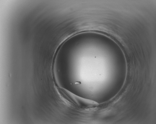 X0000072941513200607282150