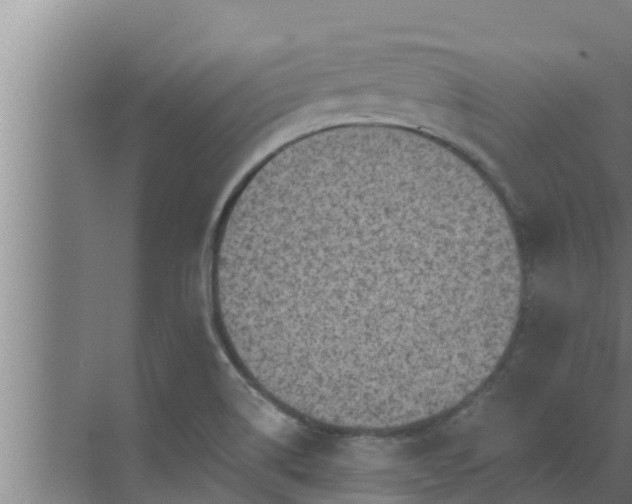 X0000072941514200607282150