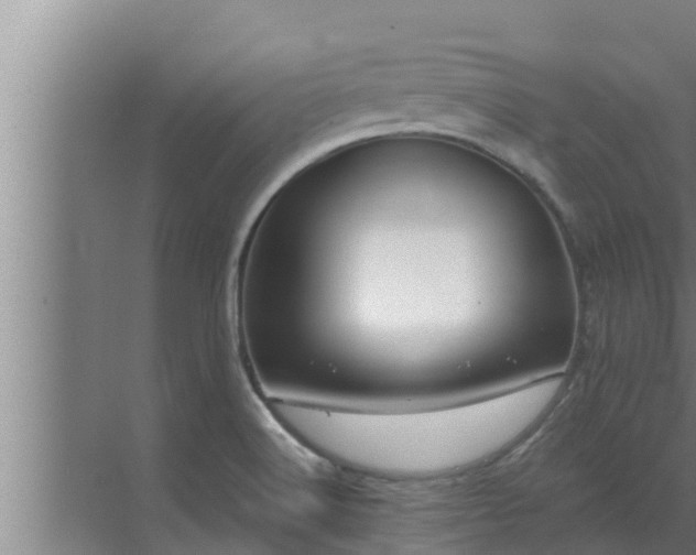 X0000072941516200607282150