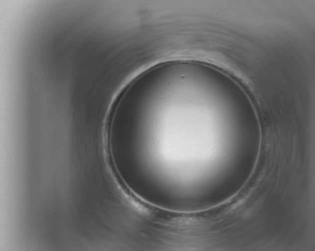 X0000072941517200607282150