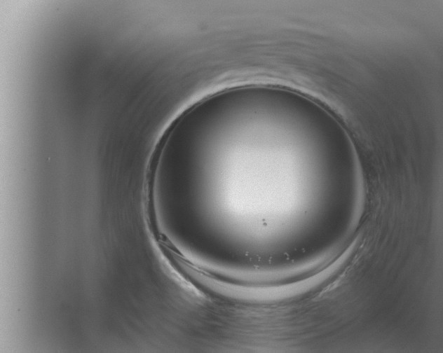 X0000072941518200607282150