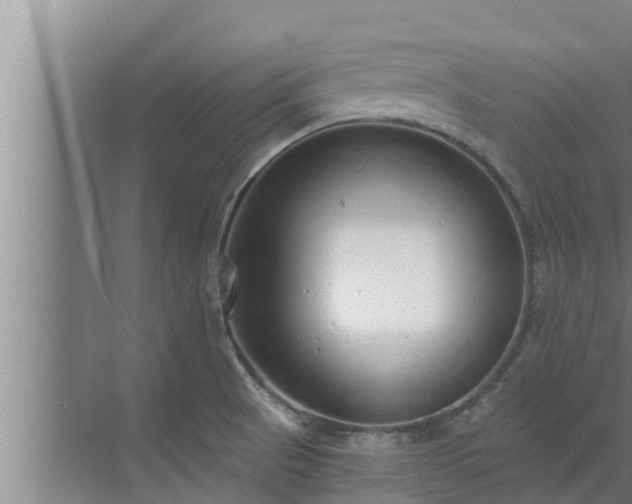 X0000072941521200607282150