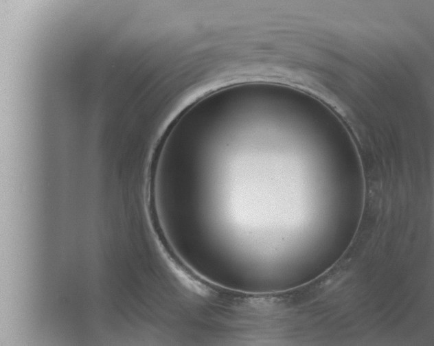 X0000072941523200607282150