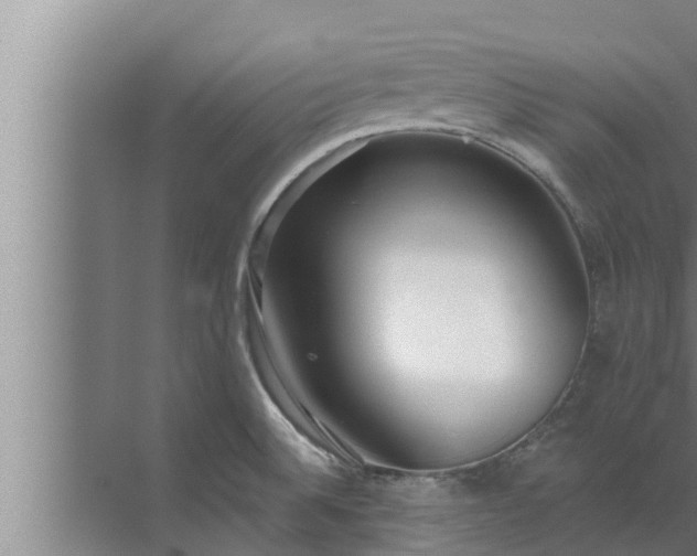 X0000072941524200607282150