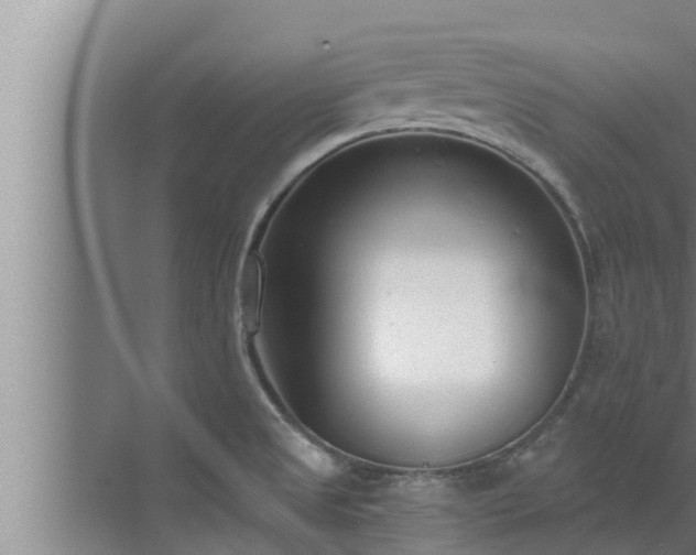 X0000072941525200607282150