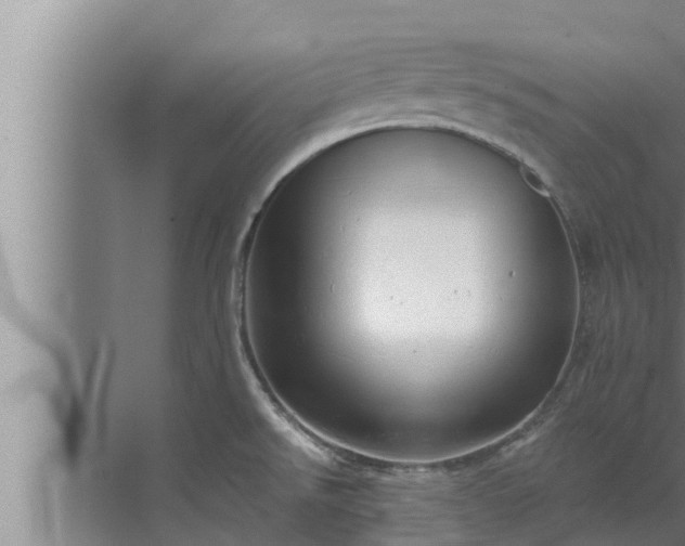 X0000072941526200607282150