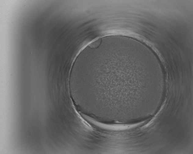 X0000072941529200607282150