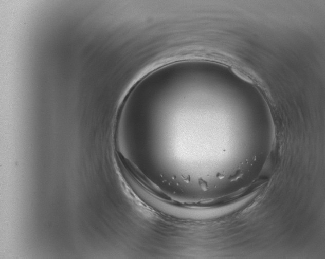 X0000072941530200607282150