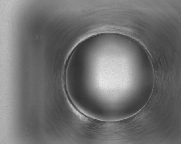 X0000072941531200607282150