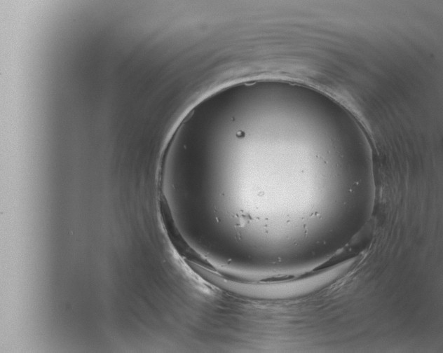 X0000072941532200607282150