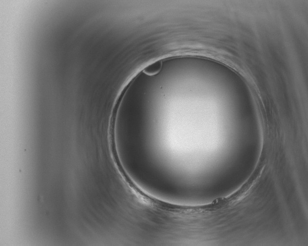 X0000072941533200607282150