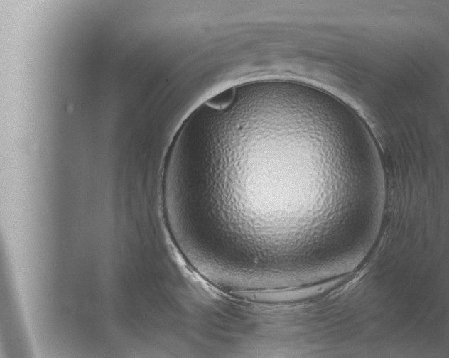 X0000072941534200607282150