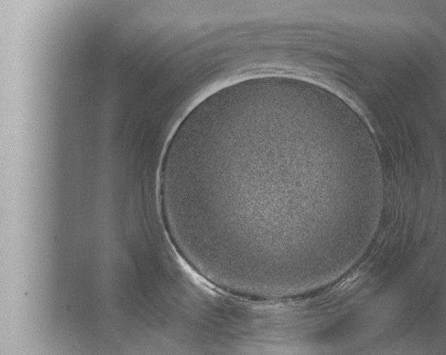 X0000072941535200607282150