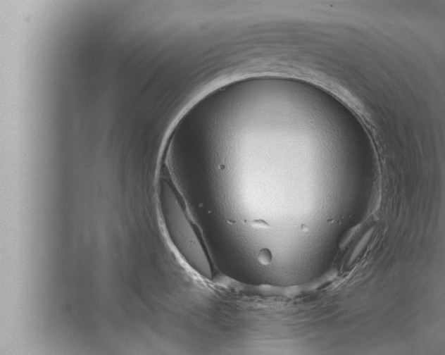 X0000072941536200607282150