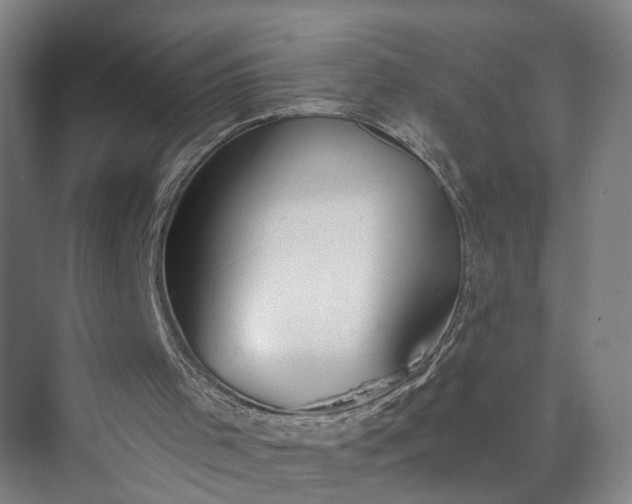 X0000072940001200608041254