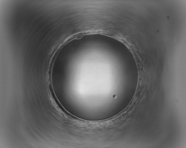 X0000072940002200608041254