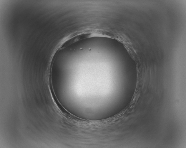 X0000072940003200608041254