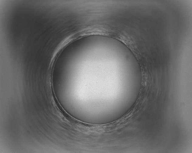 X0000072940004200608041254