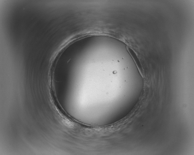 X0000072940005200608041254