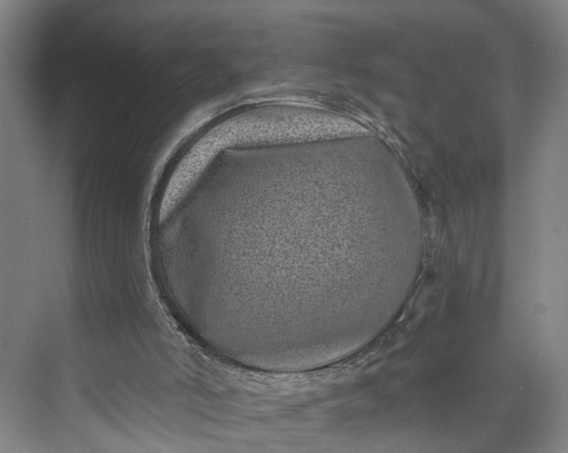 X0000072940006200608041254