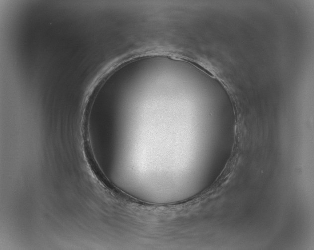 X0000072940007200608041254