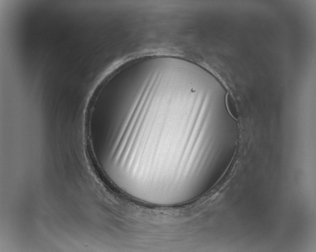 X0000072940008200608041254