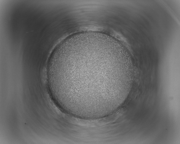 X0000072940012200608041254