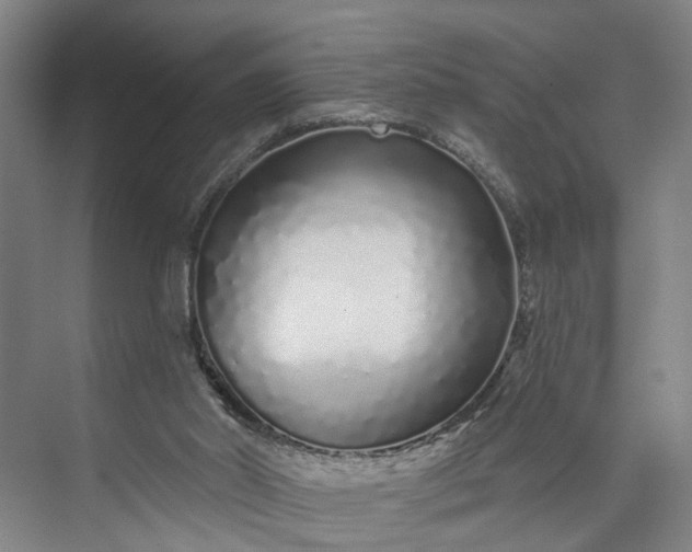 X0000072940014200608041254