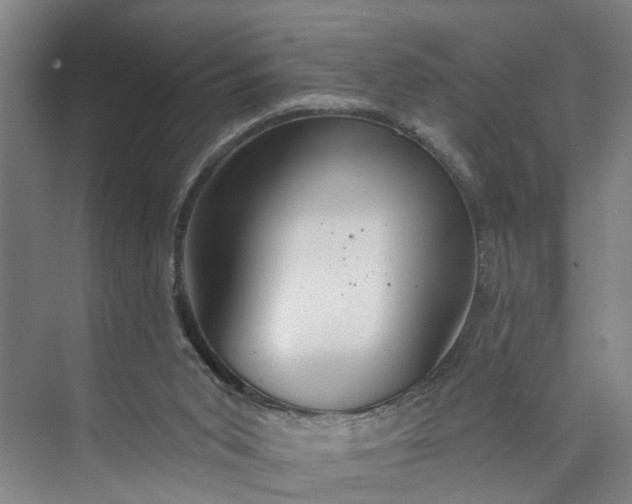 X0000072940015200608041253