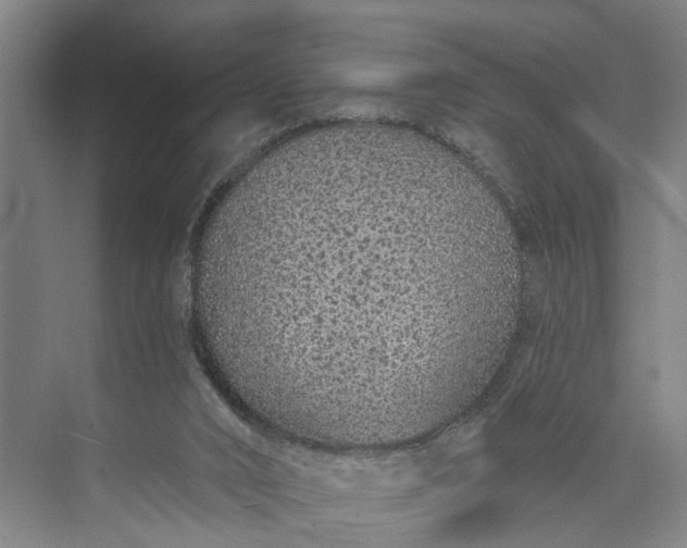 X0000072940016200608041253