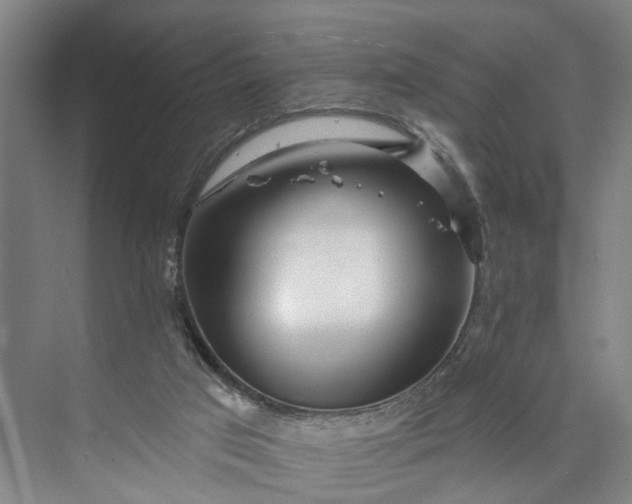 X0000072940017200608041253