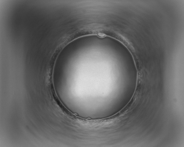 X0000072940018200608041253